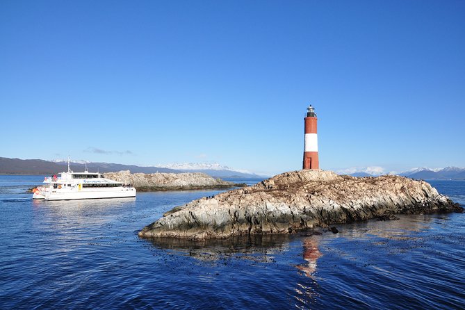 Boat Trip to the Penguin Colony on Martillo Island - Itinerary and Highlights