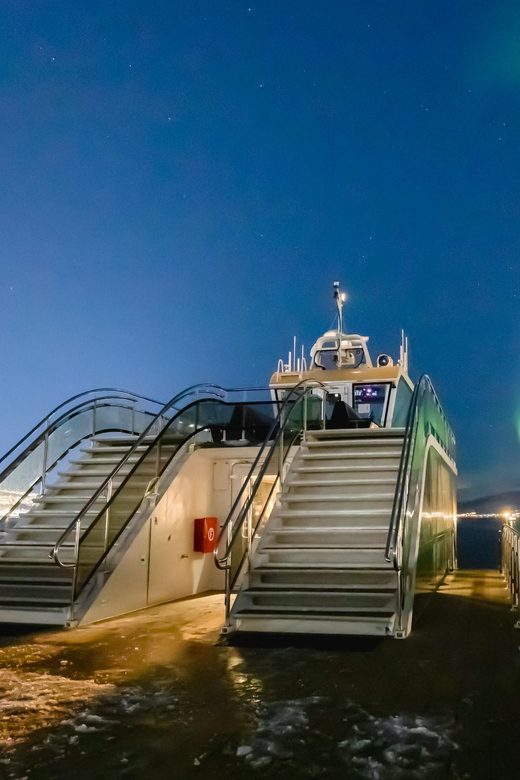 Bodø: Northern Lights Cruise - Experience Highlights