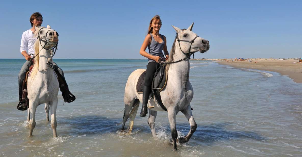 Bodrum: Horseback Riding Experience - Scenic Riding Trails