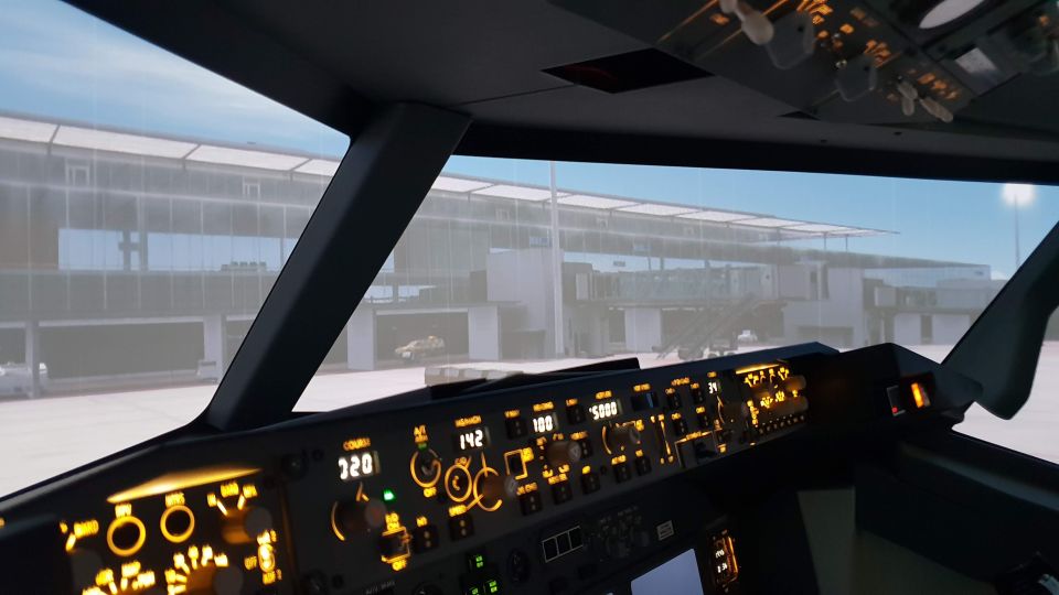 Boeing 737-800 Professional Simulator - 30 Minutes - Airport Selection and Guidance