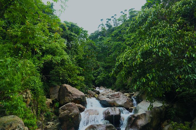 Bogor Botanical Garden, Waterfall, Mountain Springs & Rice Field - Pickup and Dropoff