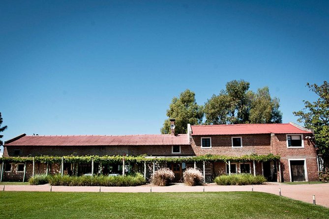 Bouza Winery Tastings and Tapas (Esp, Eng, Port) - Experience and Highlights