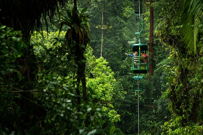 Braulio Carrillo Half Day Pass Including Aerial Tram Tour - Tour Inclusions and Options
