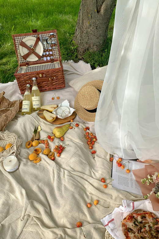 Bregenz: Motorboat & Picknick Tour - Youll Love - Booking Your Experience