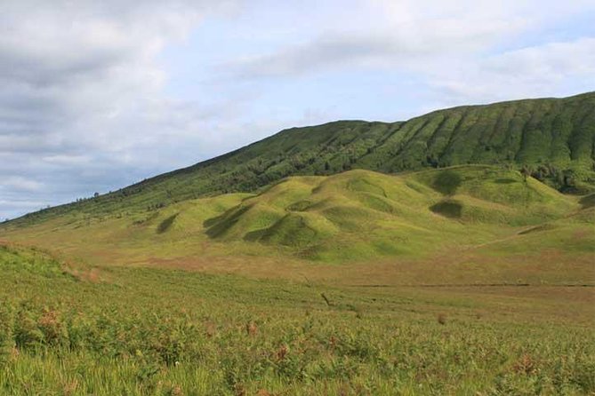 Bromo Panorama Tour to Avoid the Crowds - Start Malang // 1 Day Tour - Inclusions and Amenities