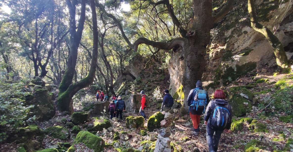 Bruncu Casteddu: Hiking Guided Tour Near Ulassai Village - Pricing and Reservations