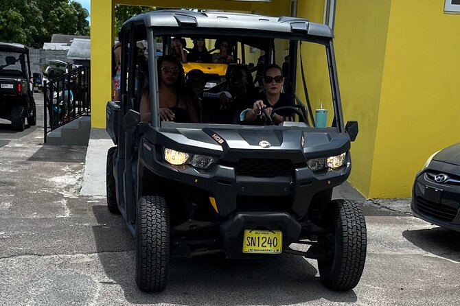 Buggy Rental (With Drop-Off, Pick-Up Around New Providence) - Vehicle Options and Features
