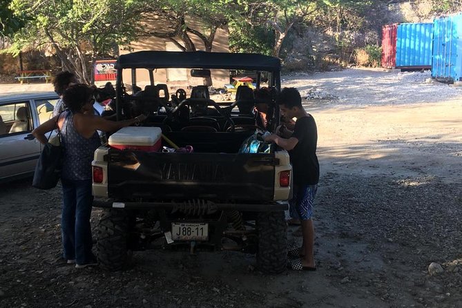Buggy Tours in Curacao - Highlights of the Experience