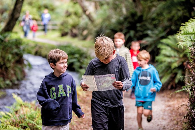 Buried Village of Te Wairoa - Exploring the Archaeological Site