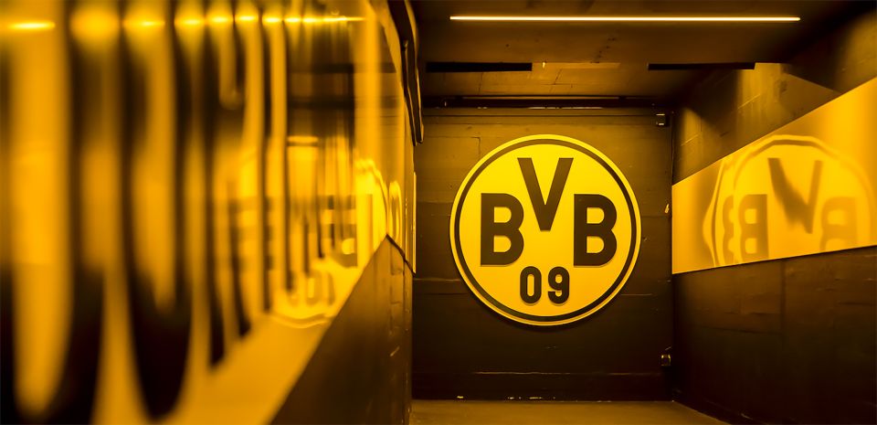 BVB Signal Iduna Park: Stadium Access and Self-Guided Tour - Highlights of the Experience