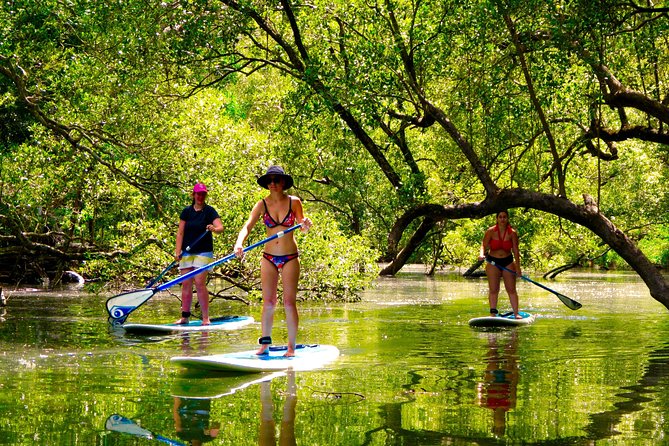 Byron Stand Up Paddle Nature Tour - Meeting and Pickup Details