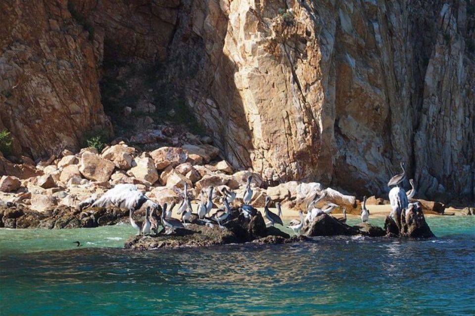 Cabo San Lucas: 45-Minute Glass-Bottom-Boat Tour - Highlights of the Tour