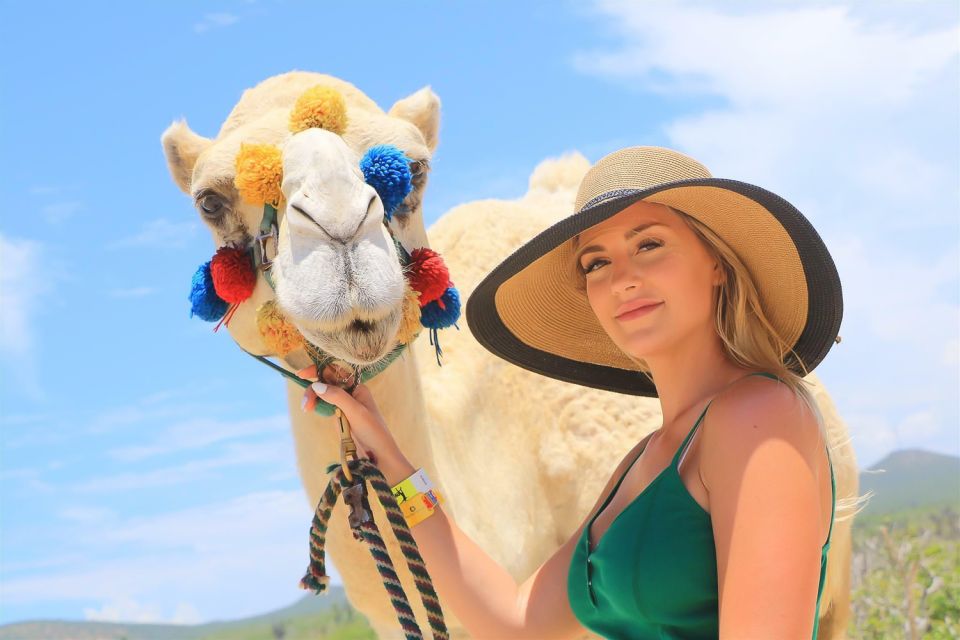 Cabo San Lucas: Camel Safari Tour With Lunch and Tequila - Tortilla-Making Lesson and Tequila Tasting