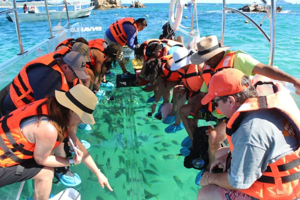 Cabo San Lucas: Glass Bottom Boat Tour to Lands End - Starting and Ending Locations