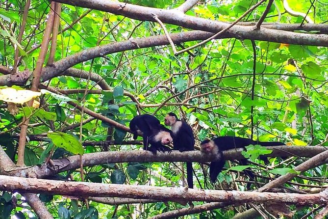 Cahuita National Park Hiking - Meeting and End Points