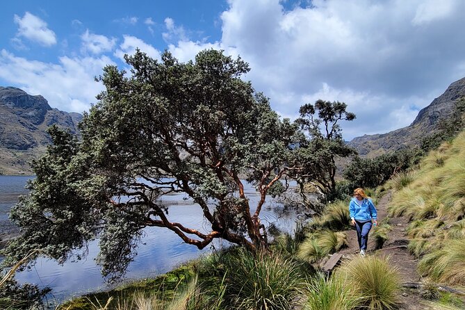 Cajas Unveiled: a Half-Day Escape From Cuenca - Whats Included in the Experience