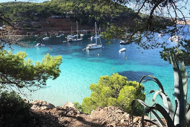 Cala Salada and Unspoiled North Beach Tour. Snorkelling and Aquarium - Meeting Point and Pickup