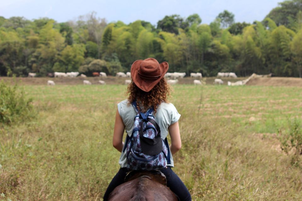 Cali: Horseback Riding - Experience Highlights