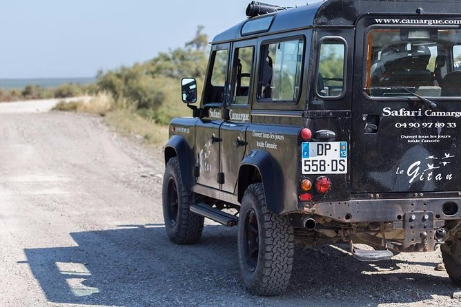 Camargue 4x4 Safari 2 Hours Saintes Maries De La Mer - Observing the Camargue Horses