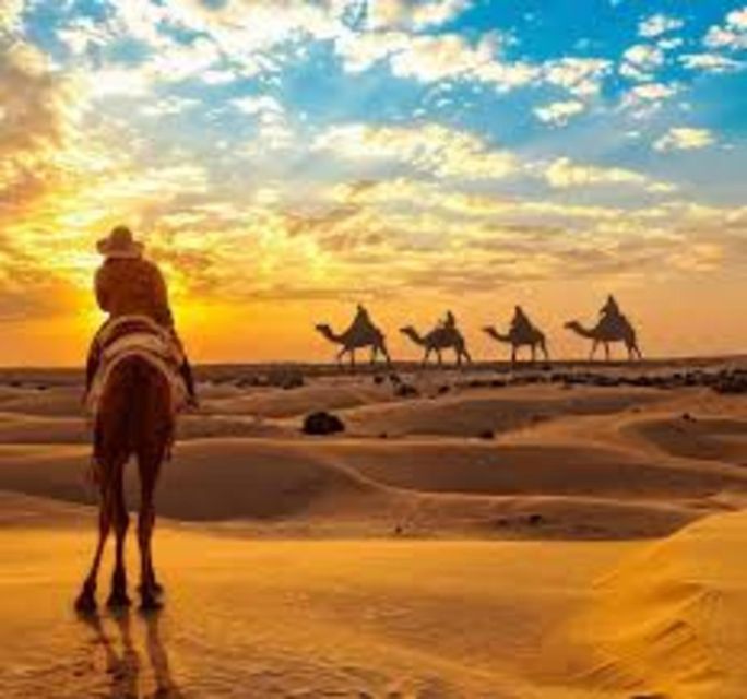 Camel Safari in Osian Desert - Pricing Information