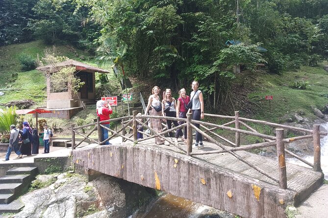 Cameron Highlands Day Trip - Highlights of the Experience