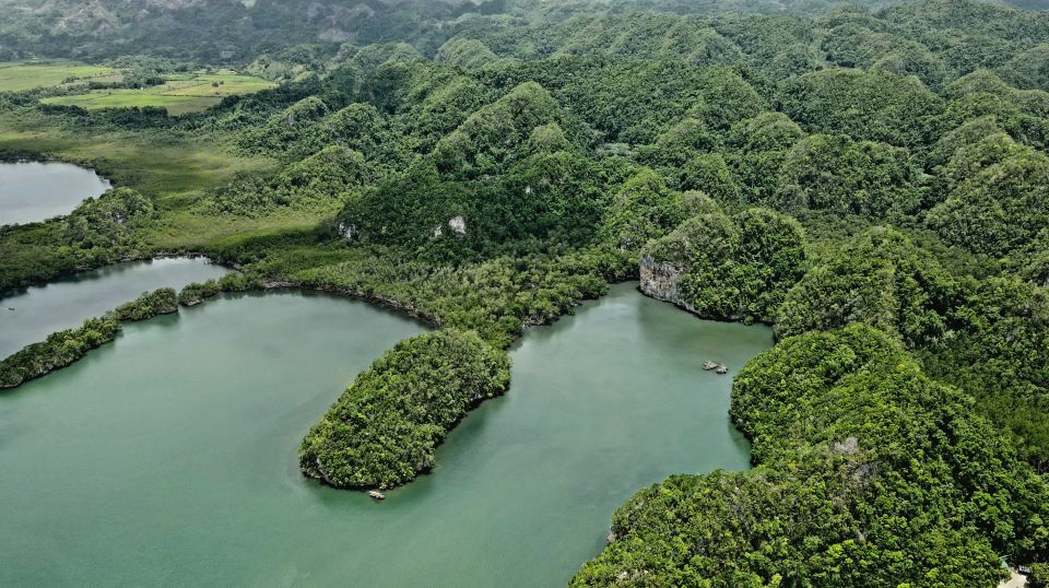 Cano Hondo Natural Pools & Los Haitises Boat Tour - Languages and Cancellation Policy