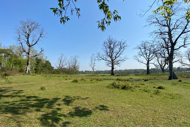Canoeing and Nature Walk in Chitwan National Park - Guided Nature Walk Highlights