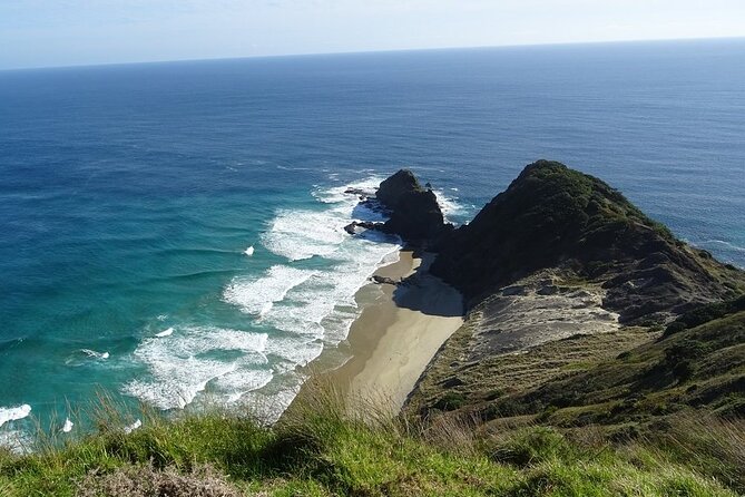 Cape Reinga Half-Day Tour Including Scenic Flight - Itinerary Highlights