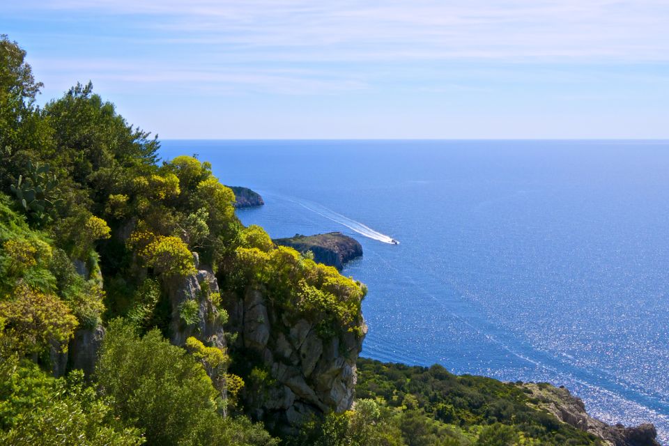 Capri: Guided Island Highlights Boat Tour - Pricing and Booking Options