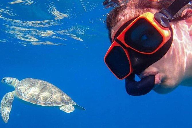 CAPTAIN ALANS 4hr -3 Islands-snorkeling-turtles-beach ADVENTURE - Transportation Options