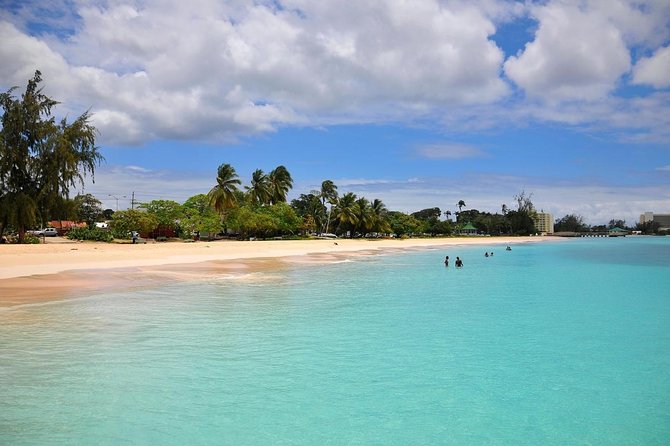 Carlisle Bay Clear Kayak Shipwreck Tour - Participant Requirements