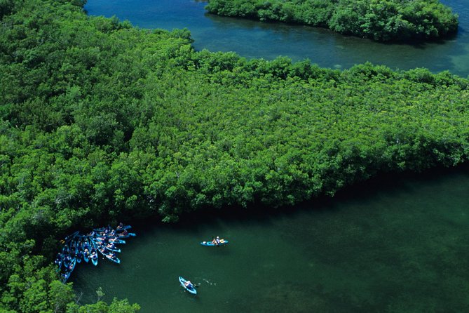 Cas Cay - Kayak Hike and Snorkel Adventure - Underwater Exploration and Marine Life