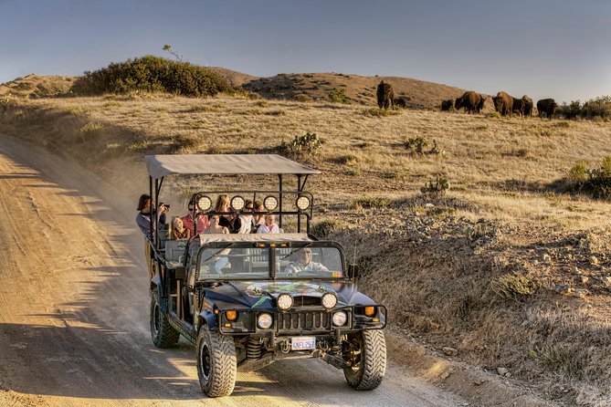 Catalina Island Bison Expedition - Health and Safety Considerations