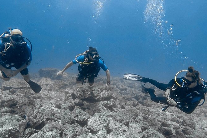 Catalina Island Diving Tour From Tamarindo - Certified Only - Highlights of the Diving Experience