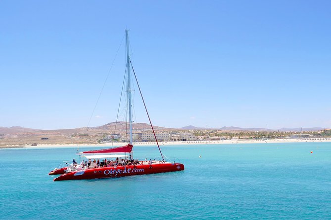 Catamaran Half-Day Cruise From Caleta De Fuste - Onboard Activities