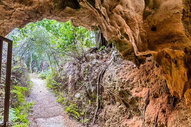 Cayman Crystal Caves Tour in Grand Cayman Island - Discovering Local Plant Life