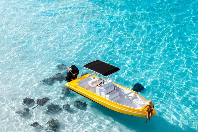 Cayman Private Luxury Charters - Stingray City, Snorkel, & More - Pricing Details