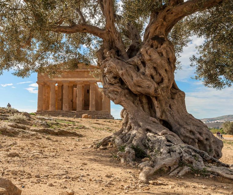 Cefalù: Temples Valley and Scala Dei Turchi Tour - Itinerary Details