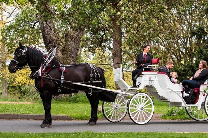 Central Park and NYC Horse Carriage Ride OFFICIAL ( ELITE Private) Since 1970™ - Customer Reviews and Ratings