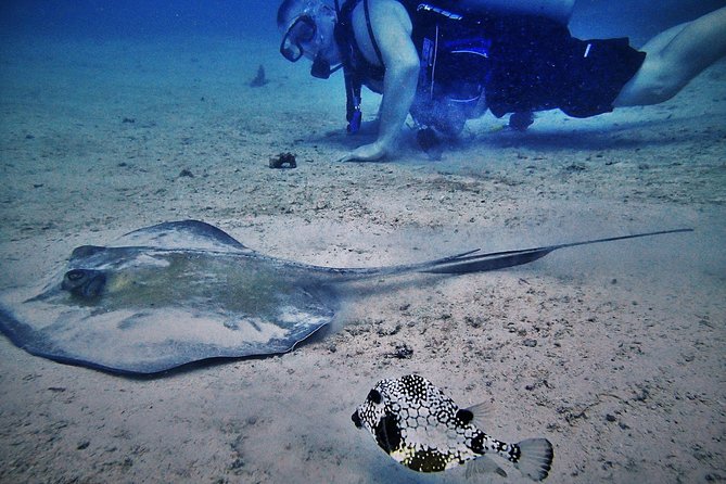 Certified Guided Reef Dive in St Thomas - Meeting Location and Pickup Details