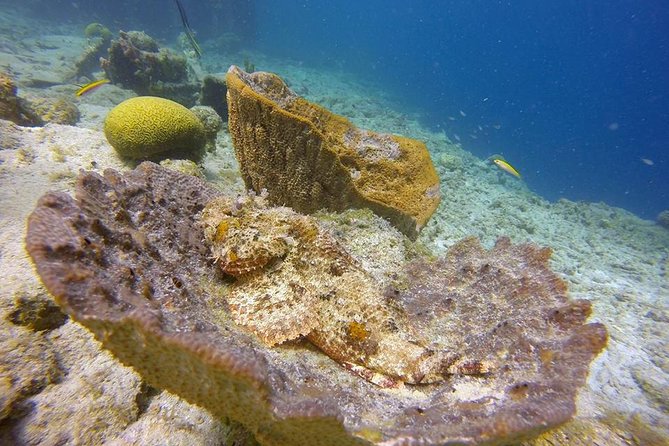 Certified Scuba Diving in Curacao - Equipment Provided
