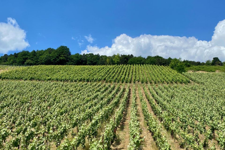 Champagne Moët & Chandon, Pressoria Small Group From Paris - Champagne Tasting Options