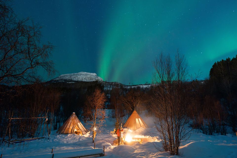 Chasing the Dancing Aurora in Our Winter Camp in Harstad - Booking Your Adventure