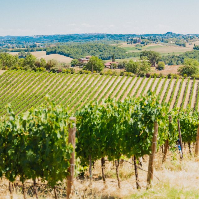 Chianciano Terme: Private Guided Winery Tour & Wine Tasting - Unique Winery Experience