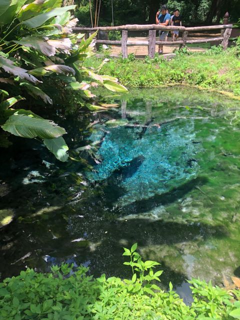 Chiang Dao Cave, Sticky Waterfall, Baan Den Temple Private - Highlights of the Tour