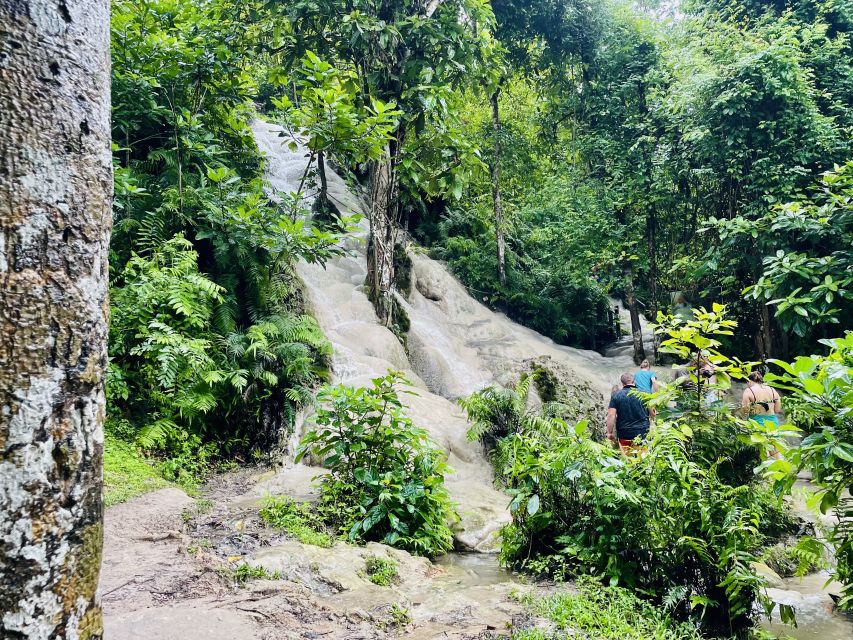 Chiang Mai: Enjoy Climbing Sticky Waterfall - Discovering Boa Tong National Park