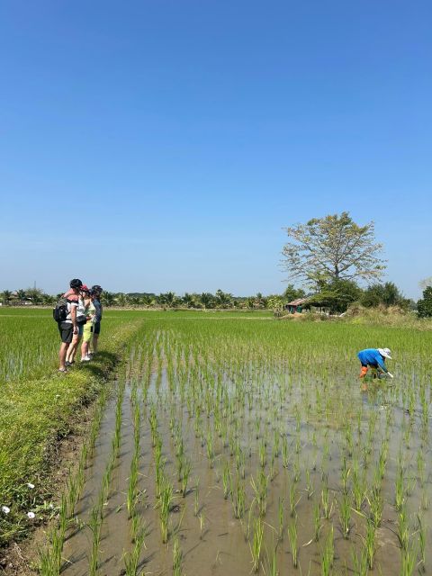 Chiang Mai: Half-Day Private Bicycle Tour With Lunch - Route and Destinations