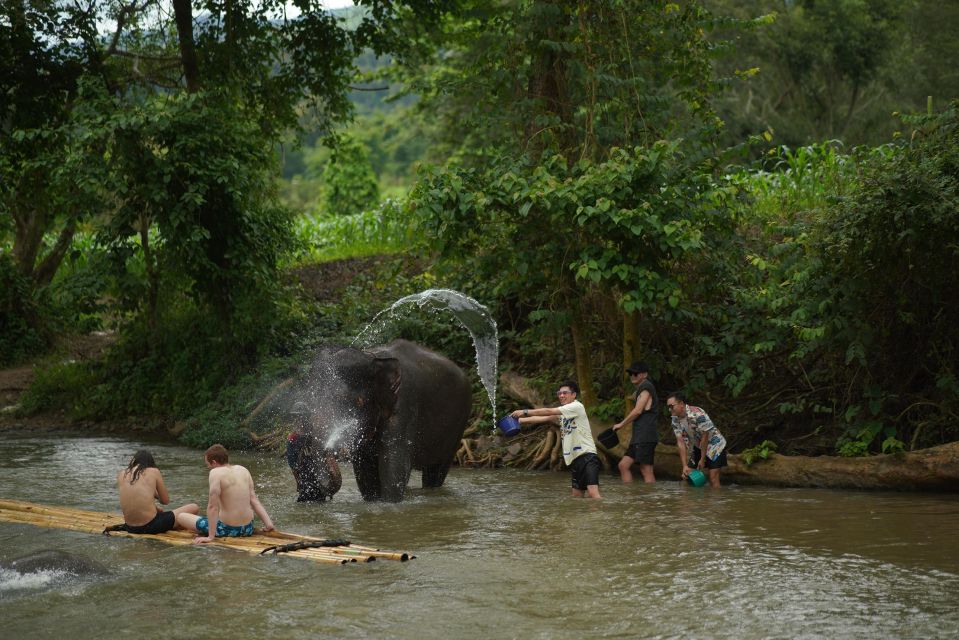 Chiang Mai: National Elephant Care, Rafting, & Ziplines Trip - Pickup and Drop-off