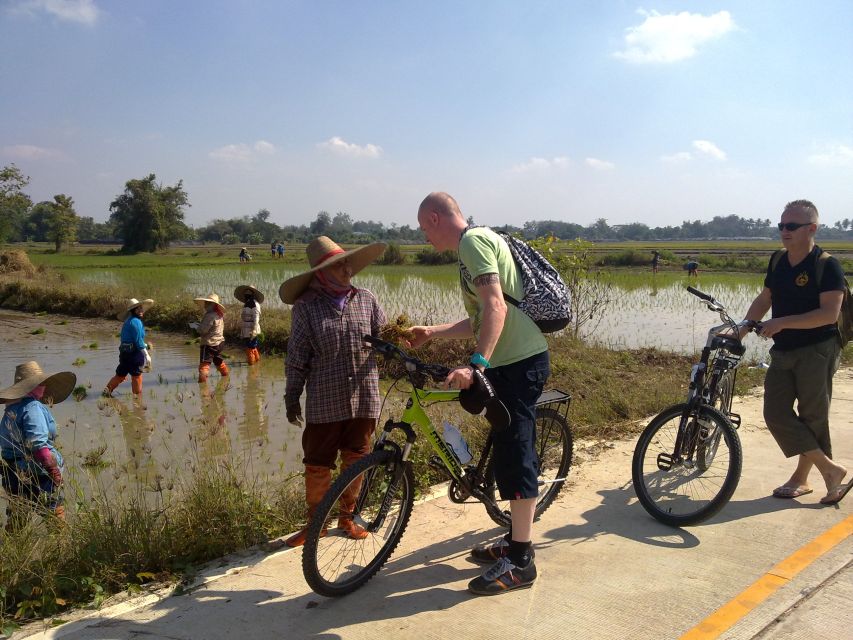 Chiang Mai Paradise Full Day Bicycle Tour - Highlights of the Tour