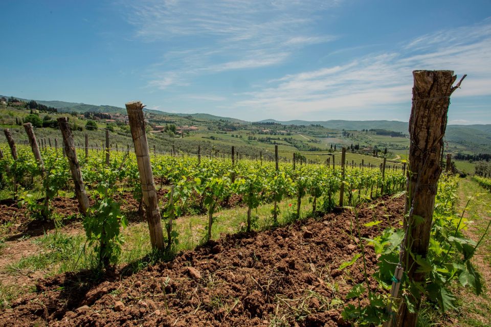 Chianti Classico Wines With Seasonal Farmers' Dishes - Highlights of the Estate and Wines